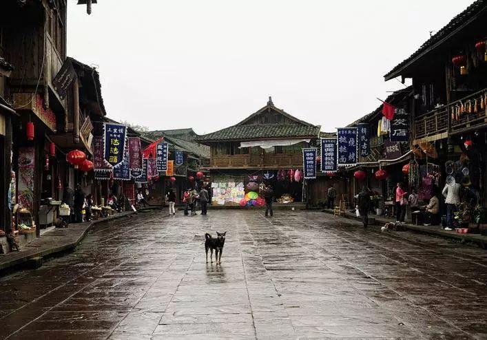 新华街道“党建引领·多元参与”,志愿行动优化绿色出行线路